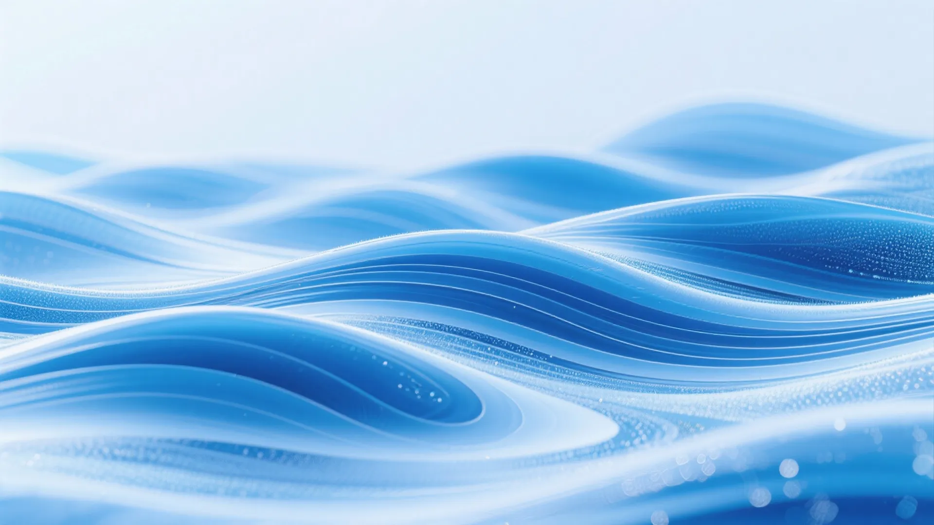 动物运动会计划 背景